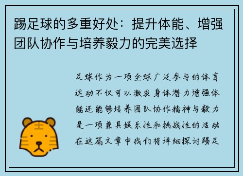 踢足球的多重好处：提升体能、增强团队协作与培养毅力的完美选择
