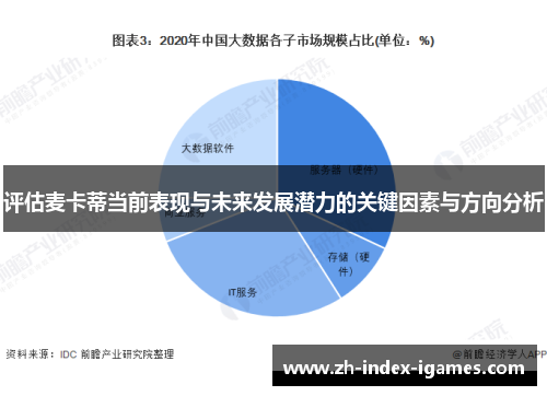 评估麦卡蒂当前表现与未来发展潜力的关键因素与方向分析 评估麦卡蒂当前表现与未来发展潜力的关键因素与方向分析